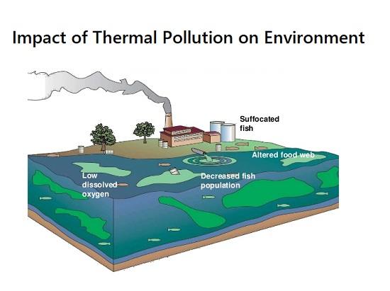 thermal pollution 
