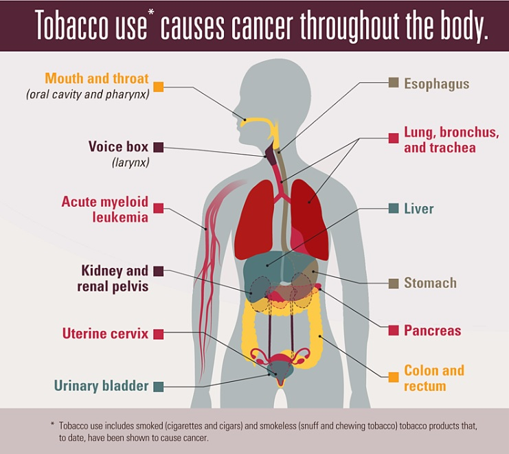 tobacco consumption